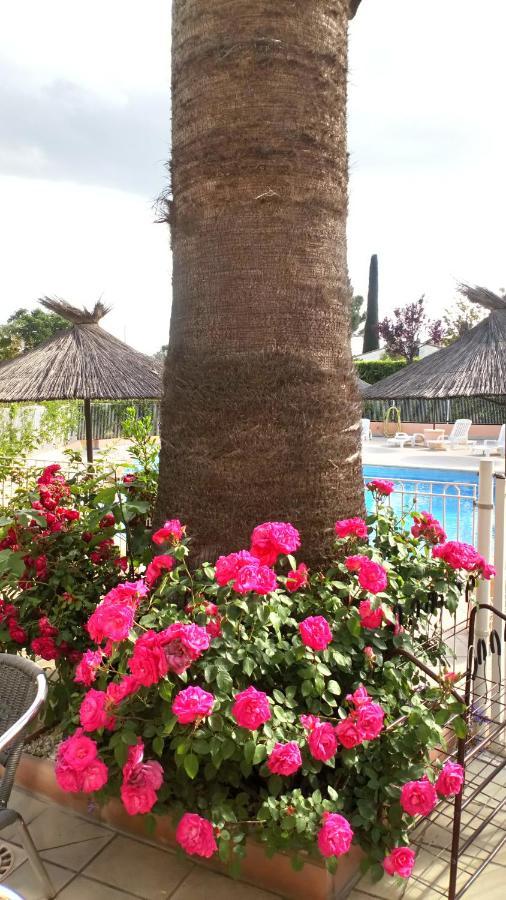 Brit Hotel Confort Helios Agde Ngoại thất bức ảnh